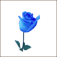 sticker_27118118_41102314