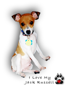 sticker_791853_44130852