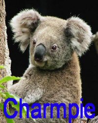 sticker_15507639_33139254