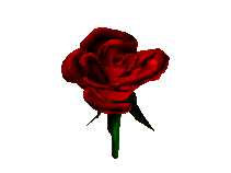 sticker_17264664_38300138