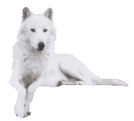 sticker_26404585_39797621