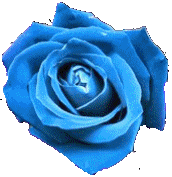 sticker_9119913_12374182