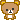 ~ Baby Bear ~