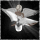 ANGEL DESiGN