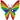 rainbow butterfly