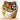 Tigersdelight
