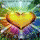 ~~~~ i love you ~~~~~