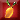 the ripe mango
