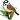 Tweet tweet