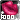 1000K Productions
