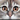 Your The Cats Meow