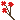 Carnations