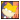 Angelica