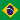 Brazilian Flag