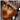 RareSwagger Creations
