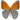 Butterfly love!