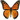Butterfly love!