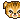 Tabby Cat