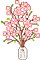 ..Blossom