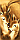 Mystery Deer!