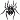Black Spider