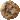 Chocolate Chip Cookie