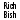 Rich Bish