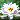 LS *White Lotus