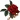 AngelRose