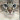 Cat face =^-^=