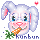 hunbun loves carrots omnom