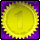 Miss Gulf 1st Badge