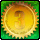 Miss Gulf 3rd Badge