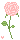 Daisies Rose