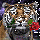 Romantic Tiger