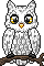 Blizzard Baby Owl - Frostine