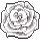 Elegant White Rose Flowers Silvers