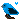 Blue Birdie