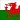 Welsh Flag 1
