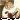 MD