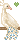 Albino Peacock