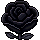 Rose of Darkness