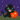My pumpkin