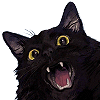 Meow!