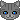 Kitten3