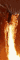 Draco Sol