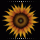 Sunflower �