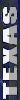 Teri Badge 5