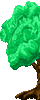 Big Green Tree