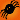 Ninfinity Spider